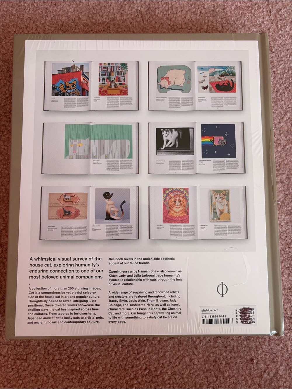 Cat Book Phaidon Brand New 232 Pages with Illustrations - Picture 3 of 9